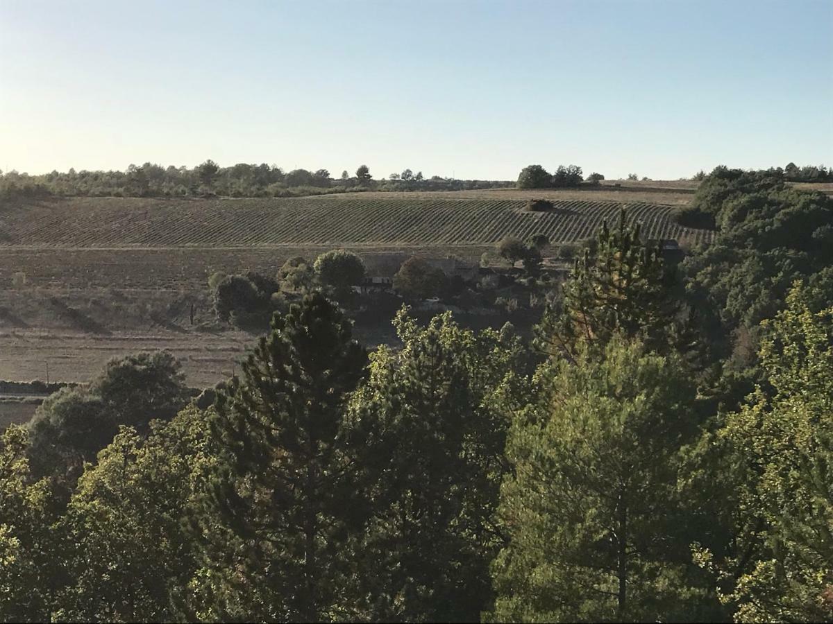 Domaine Le Commandaire Roumoules المظهر الخارجي الصورة