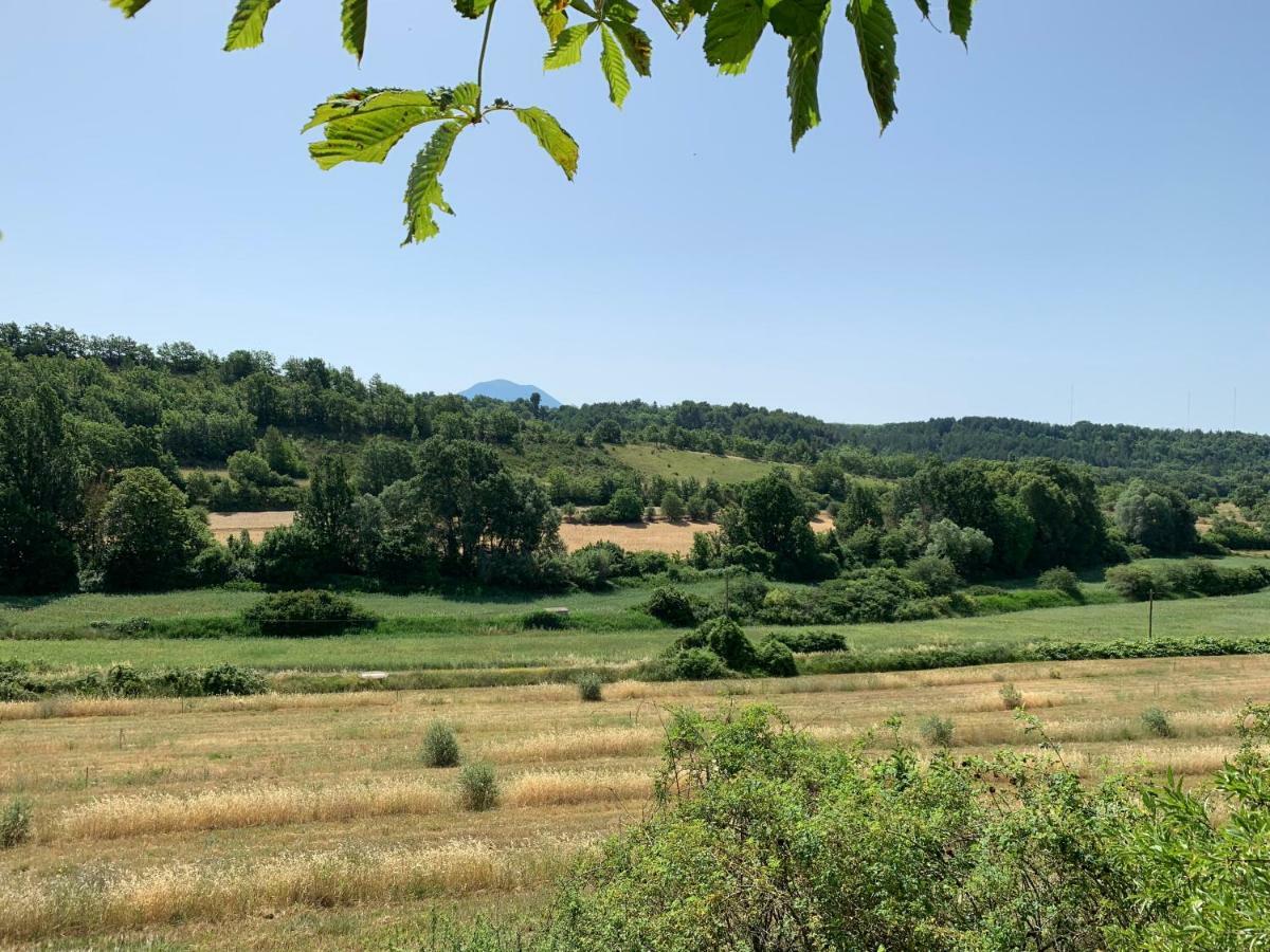 Domaine Le Commandaire Roumoules المظهر الخارجي الصورة