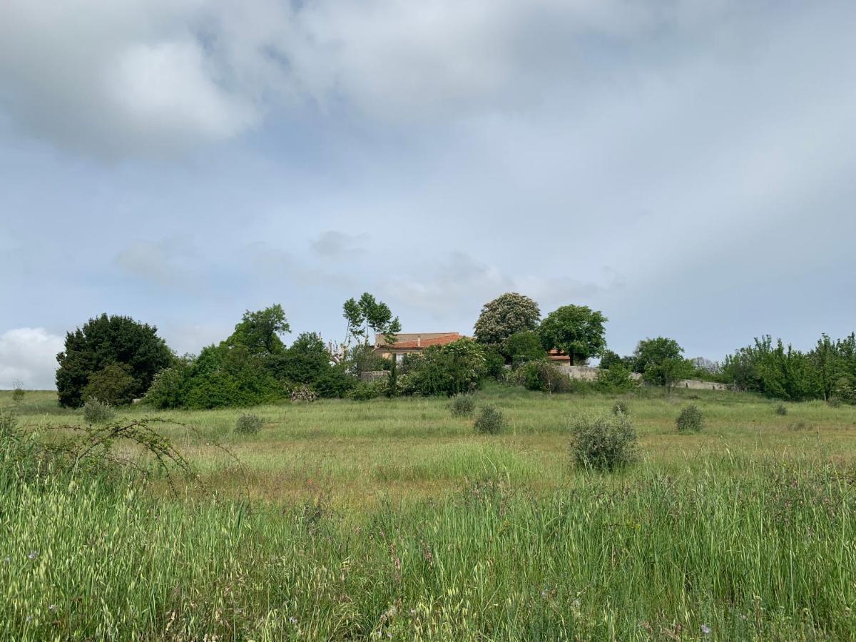 Domaine Le Commandaire Roumoules المظهر الخارجي الصورة